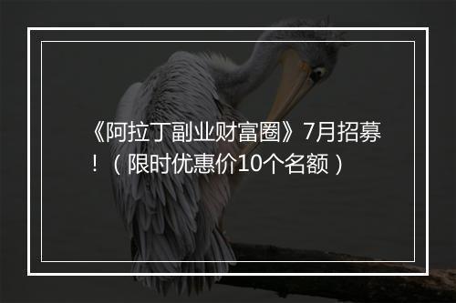 《阿拉丁副业财富圈》7月招募！（限时优惠价10个名额）