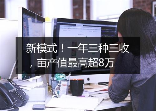 新模式！一年三种三收，亩产值最高超8万