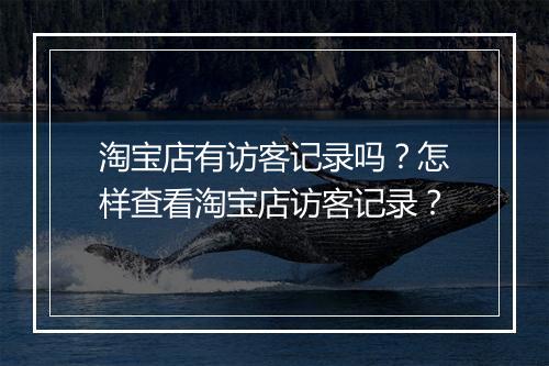 淘宝店有访客记录吗？怎样查看淘宝店访客记录？