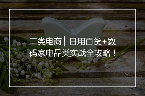 二类电商 ▏日用百货+数码家电品类实战全攻略！