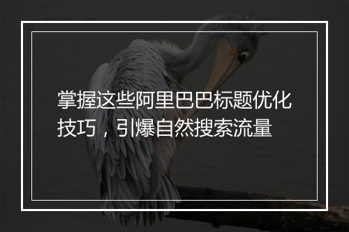 掌握这些阿里巴巴标题优化技巧，引爆自然搜索流量