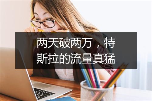 两天破两万，特斯拉的流量真猛