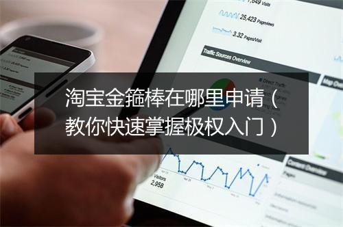 淘宝金箍棒在哪里申请（教你快速掌握极权入门）