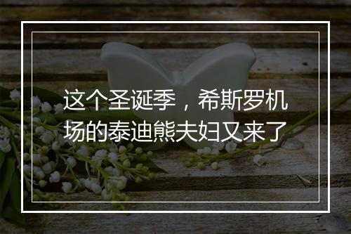 这个圣诞季，希斯罗机场的泰迪熊夫妇又来了