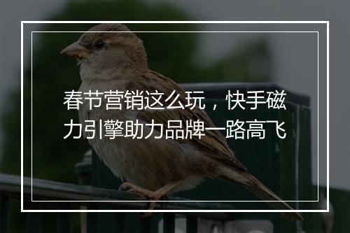 春节营销这么玩，快手磁力引擎助力品牌一路高飞