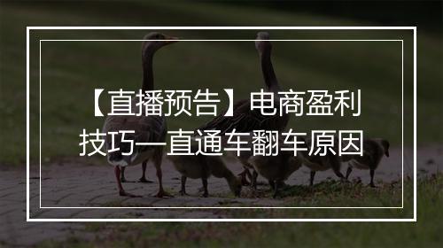 【直播预告】电商盈利技巧—直通车翻车原因
