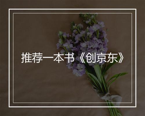 推荐一本书《创京东》
