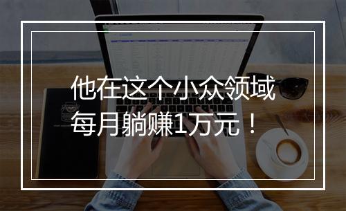 他在这个小众领域每月躺赚1万元！