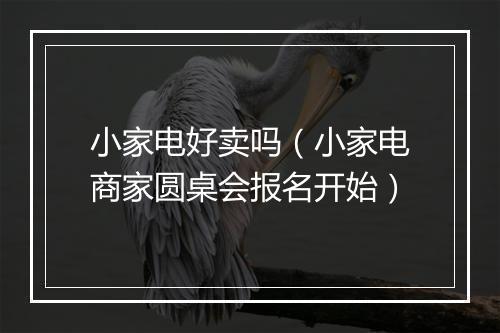 小家电好卖吗（小家电商家圆桌会报名开始）