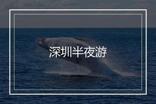 深圳半夜游