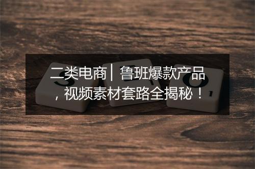 二类电商 ▏鲁班爆款产品，视频素材套路全揭秘！