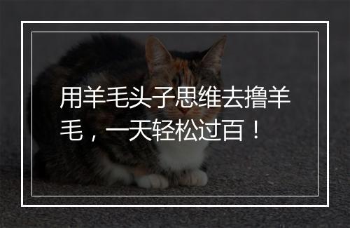 用羊毛头子思维去撸羊毛，一天轻松过百！