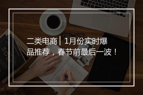 二类电商 ▏1月份实时爆品推荐，春节前最后一波！