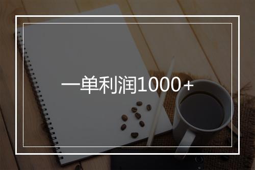 一单利润1000+