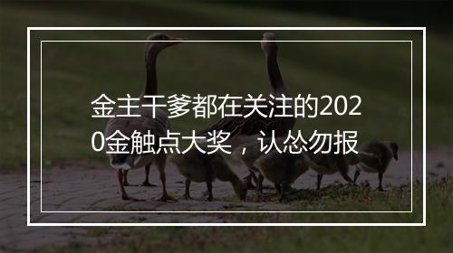 金主干爹都在关注的2020金触点大奖，认怂勿报
