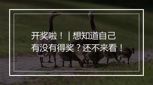 开奖啦！ | 想知道自己有没有得奖？还不来看！