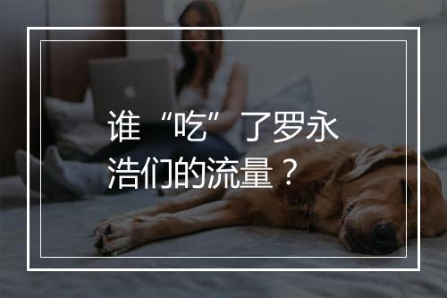 谁“吃”了罗永浩们的流量？