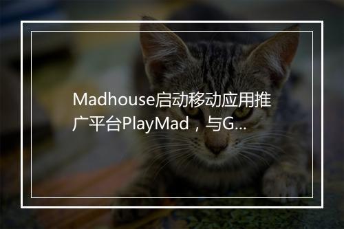 Madhouse启动移动应用推广平台PlayMad，与Google Ads实现数据共享