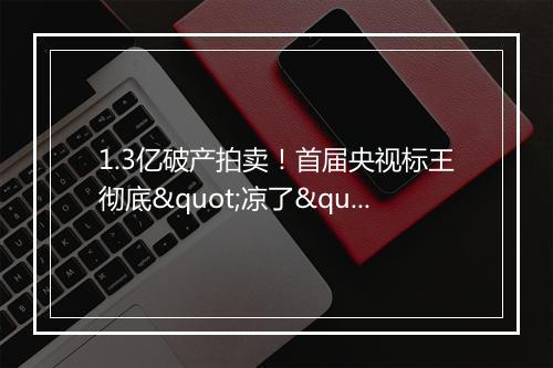 1.3亿破产拍卖！首届央视标王彻底"凉了"