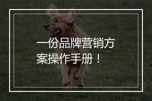 一份品牌营销方案操作手册！