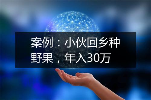 案例：小伙回乡种野果，年入30万