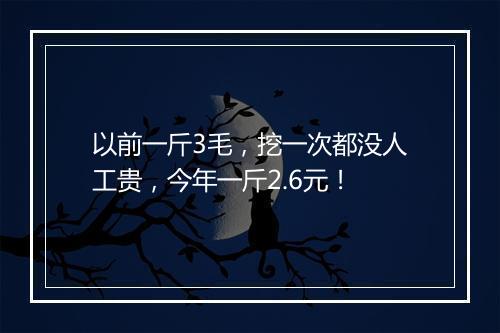 以前一斤3毛，挖一次都没人工贵，今年一斤2.6元！