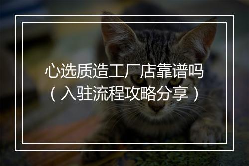 心选质造工厂店靠谱吗（入驻流程攻略分享）