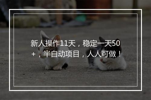 新人操作11天，稳定一天50+，半自动项目，人人可做！