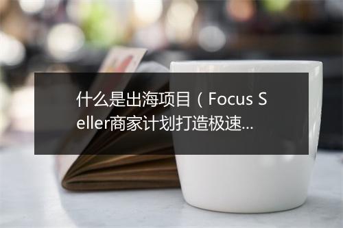 什么是出海项目（Focus Seller商家计划打造极速出海通道）