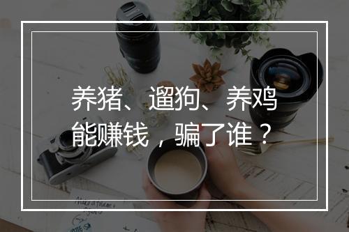 养猪、遛狗、养鸡能赚钱，骗了谁？