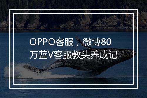 OPPO客服，微博80万蓝V客服教头养成记