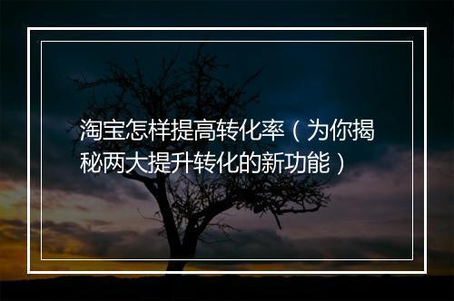 淘宝怎样提高转化率（为你揭秘两大提升转化的新功能）