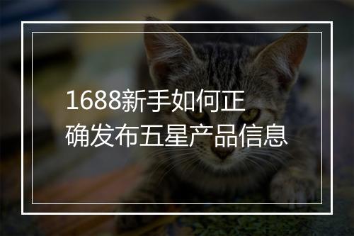 1688新手如何正确发布五星产品信息