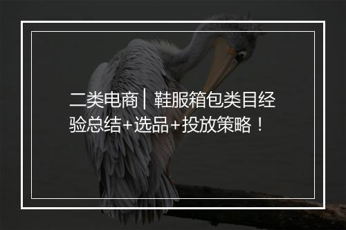 二类电商 ▏鞋服箱包类目经验总结+选品+投放策略！