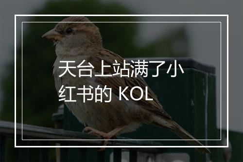 天台上站满了小红书的 KOL