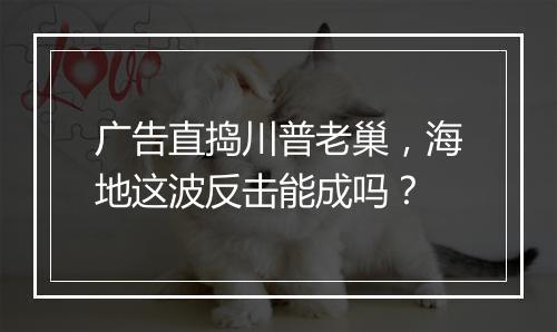 广告直捣川普老巢，海地这波反击能成吗？