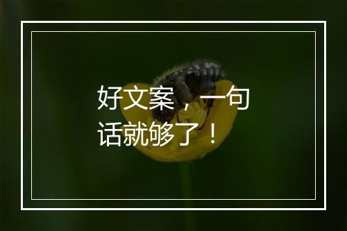 好文案，一句话就够了！