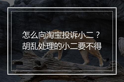 怎么向淘宝投诉小二？胡乱处理的小二要不得