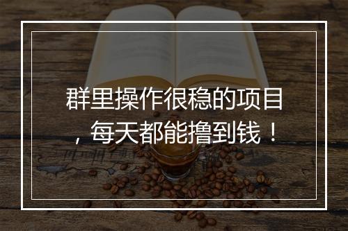 群里操作很稳的项目，每天都能撸到钱！
