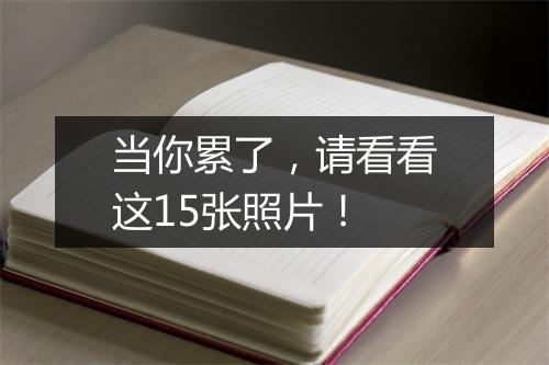 当你累了，请看看这15张照片！