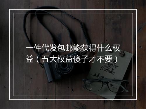 一件代发包邮能获得什么权益（五大权益傻子才不要）