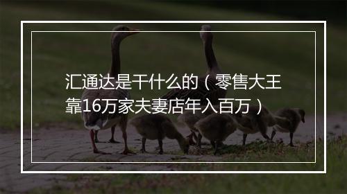 汇通达是干什么的（零售大王靠16万家夫妻店年入百万）