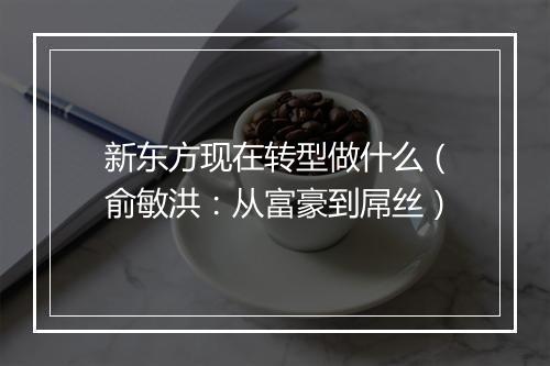新东方现在转型做什么（俞敏洪：从富豪到屌丝）