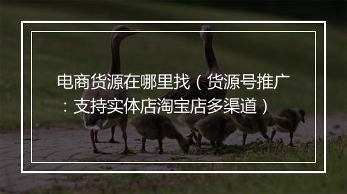 电商货源在哪里找（货源号推广：支持实体店淘宝店多渠道）