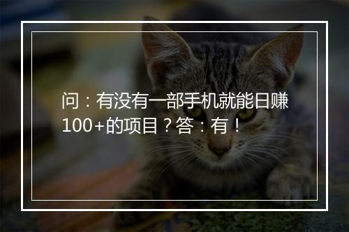 问：有没有一部手机就能日赚100+的项目？答：有！