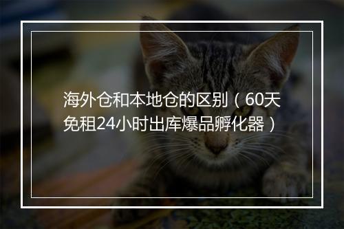 海外仓和本地仓的区别（60天免租24小时出库爆品孵化器）