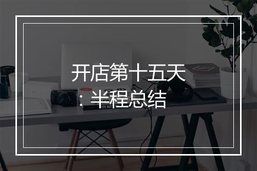 开店第十五天：半程总结
