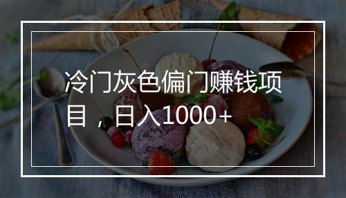冷门灰色偏门赚钱项目，日入1000+