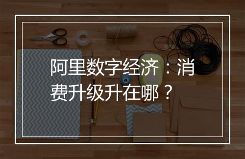 阿里数字经济：消费升级升在哪？