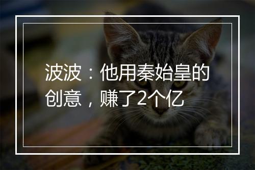 波波：他用秦始皇的创意，赚了2个亿